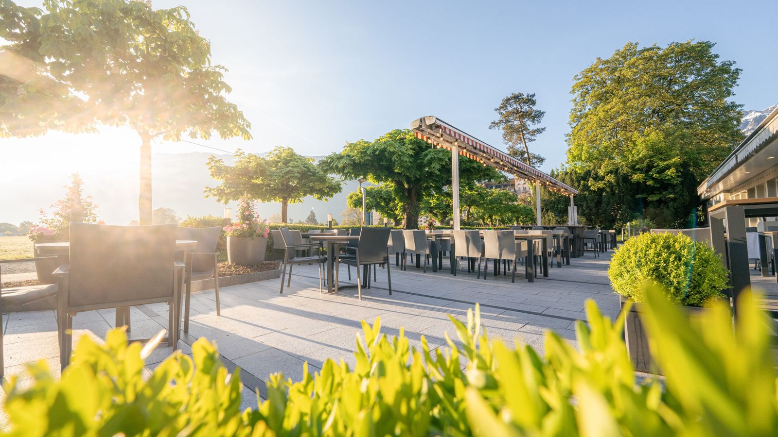 Sonnige Terrasse des Restaurant Schuh